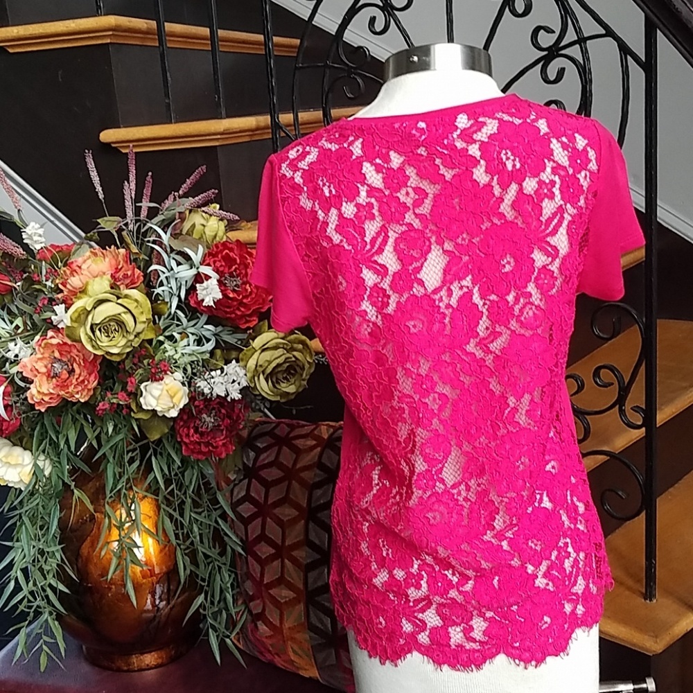 Ted Baker T